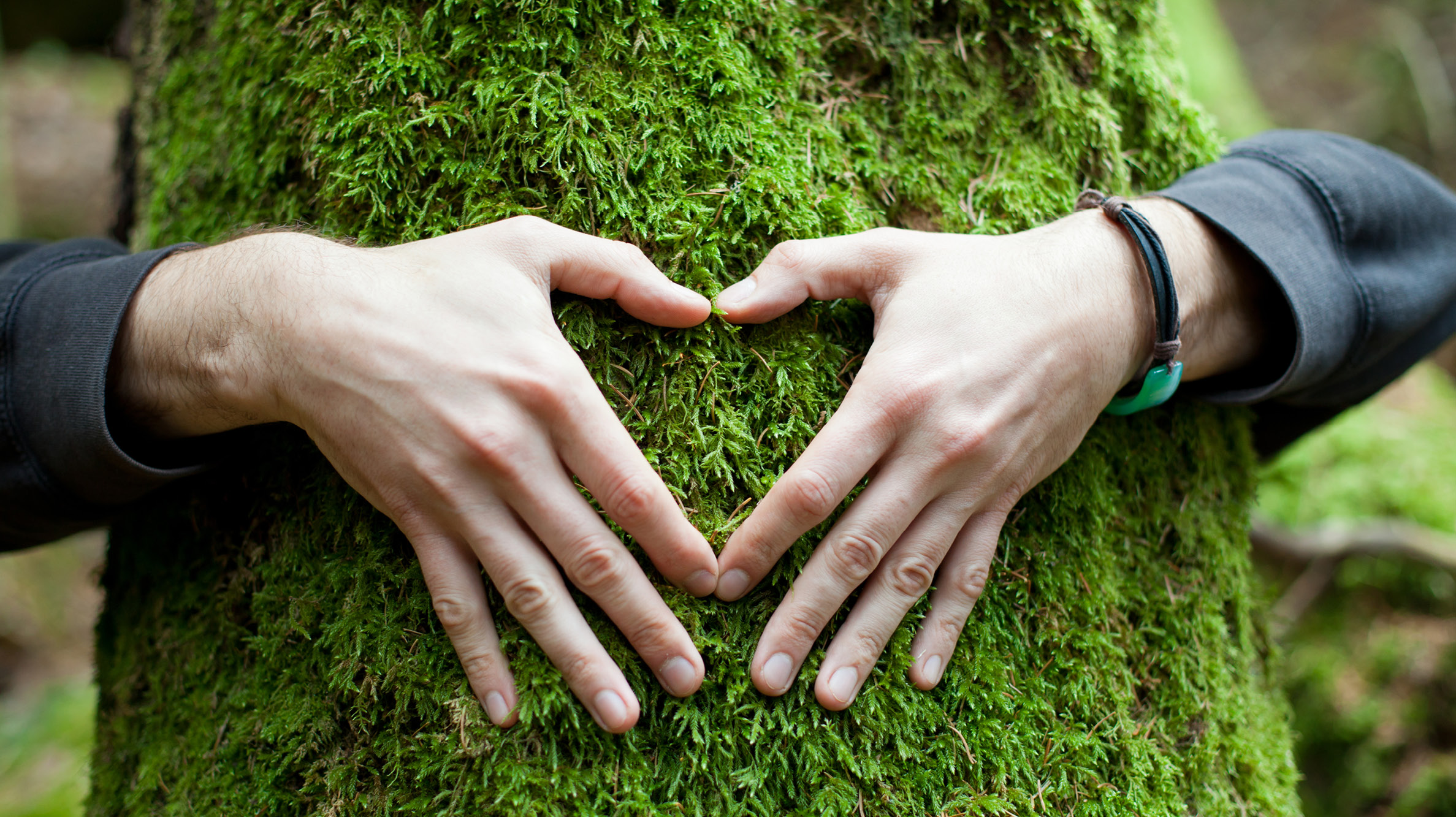 Comunicado de Desempeño Ambiental 2025: Avanzamos en Eficiencia Energética